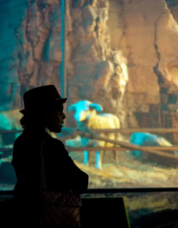 A visitor standing in front of a large-format projected scene inside an immersive gallery.